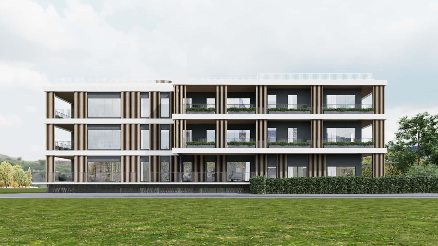 Gallery 6